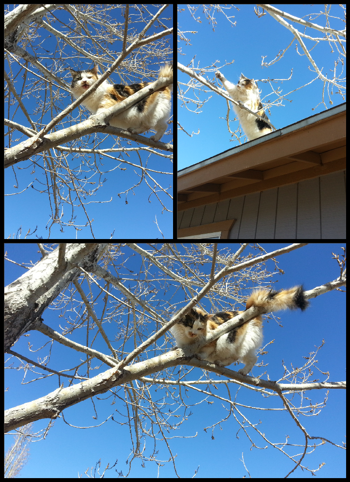 photo 2014-01-19 20.01.48_zpsfmidscio.png